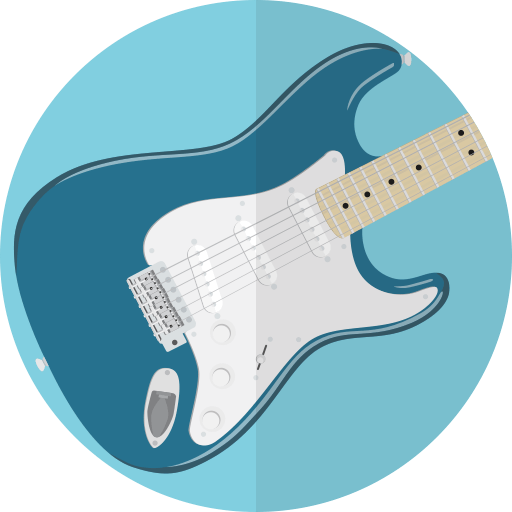 Guitar guides and equipment