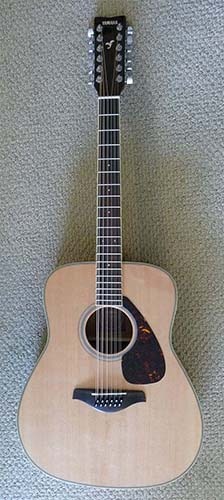12-String Acoustic Guitar